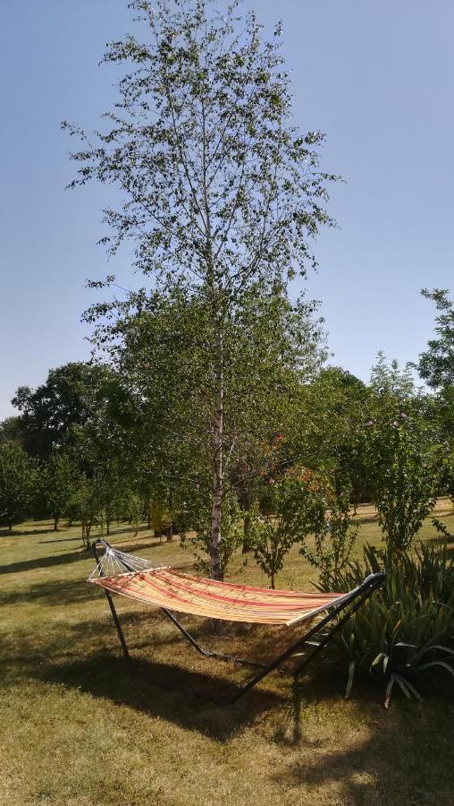 Le Mas De Carrie Bed & Breakfast Parisot  Exterior photo