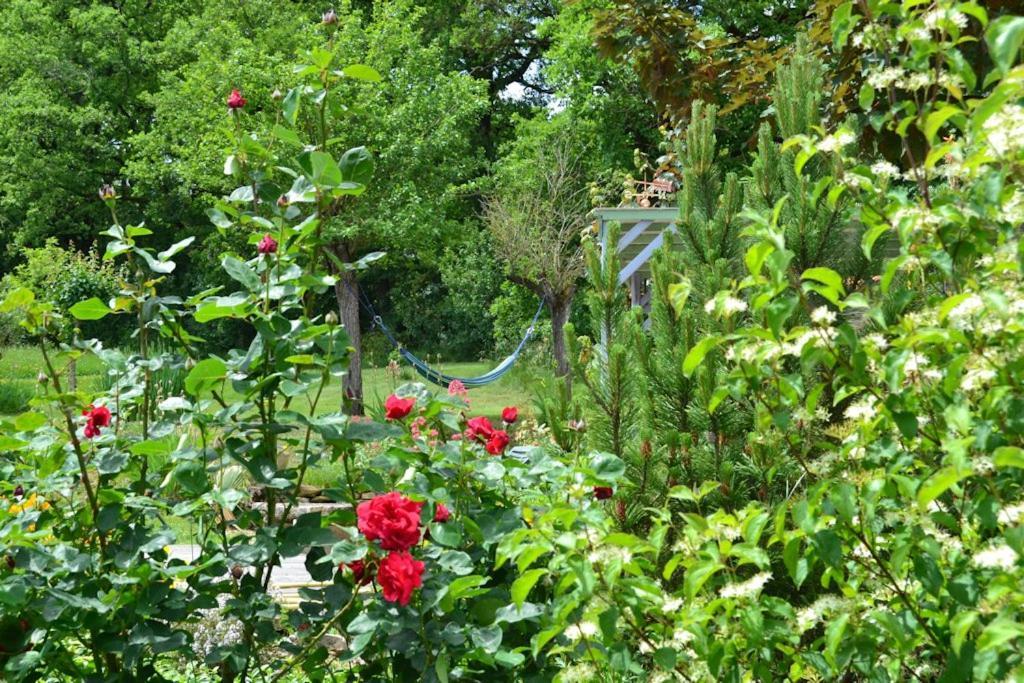 Le Mas De Carrie Bed & Breakfast Parisot  Exterior photo